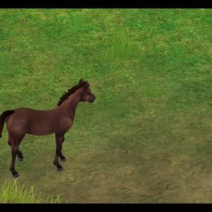 Meet your Posher, Carson